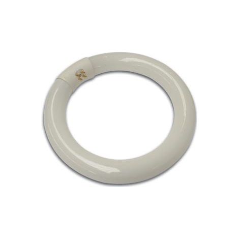 Tubo fluorescente circolare 22w per vtlamp2/& w