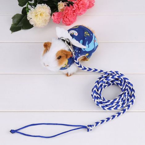 Arnés para animales pequeños, estampado de ardilla, chaleco y correa incluidos (azul oscuro) (1/5)