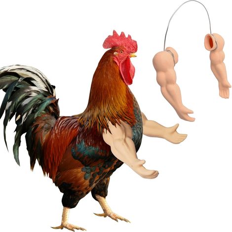 Bras de poulet musclés, jouets pour poulets à porter, déguisement amusant de poings de combat pour animaux de compagnie, fête à thème farce (1/5)