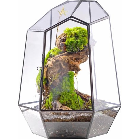 25 cm Terrarium géométrique avec Porte, Noir Pot de Fleurs en Verre irrégulier,Pot de Fleurs Moderne pour Plantes,Décoration de Jardin (1/5)