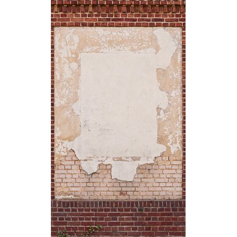 BRICOFLOR Papier peint The Wall II 392391 (1/3)