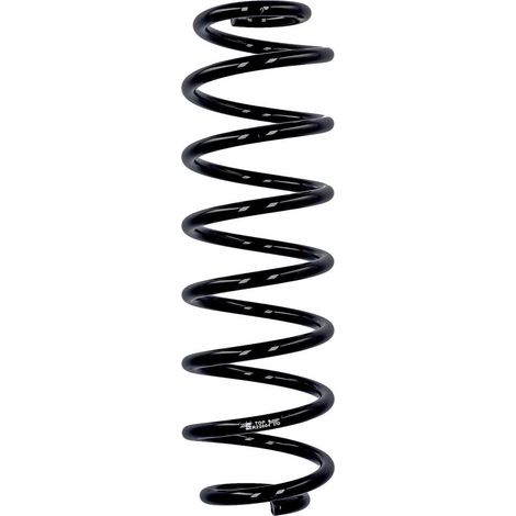 Ressort de suspension Eibach ERL arrière Ford R22604 (1/2)