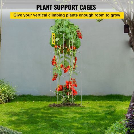 Cages à tomates 30x30x117 cm support pour plantes de jardin 5PCS, cages carrées pour plantes robustes, tours à tomates acier enduit… (1/5)