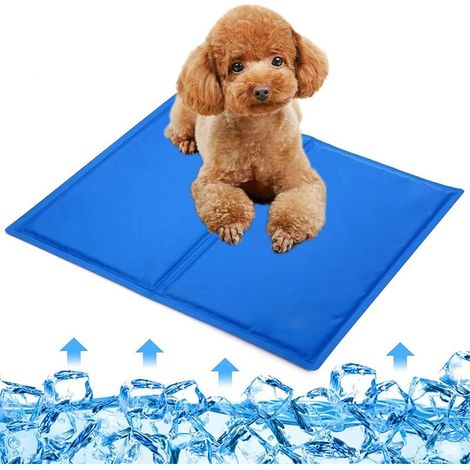 Tapis Rafraichissant pour Chien Chats, Tapis de Refroidissement Automatique pour Animaux de Compagnie, Imperméable et indéchirable, Bleu, 40x50cm (1/3)