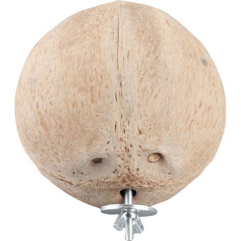 Maison pour Animaux - Coconut Shell House Cage - Hammock coconaturelle - Paniers cage hamster écureuil oiseaux, Diamètre 2-16 cm, 1 pièce (1/5)