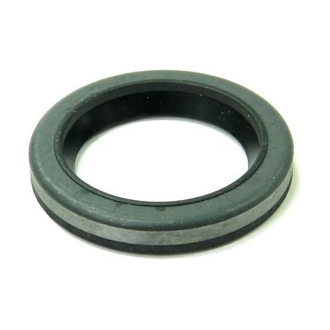 Sello de aceite de motor Briggs and Stratton - 299819S