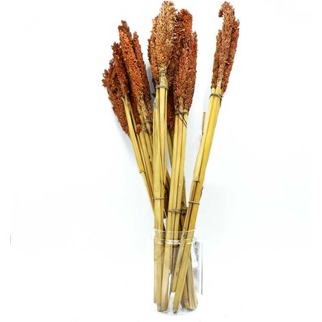 Bouquet d'herbe du Cantal - Rouille- Vendu par 6 (1/2)