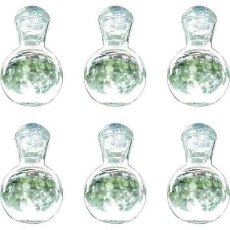 Vase transparent à ventouses pour suspension aux fenêtres, station de multiplication plantes (1/5)