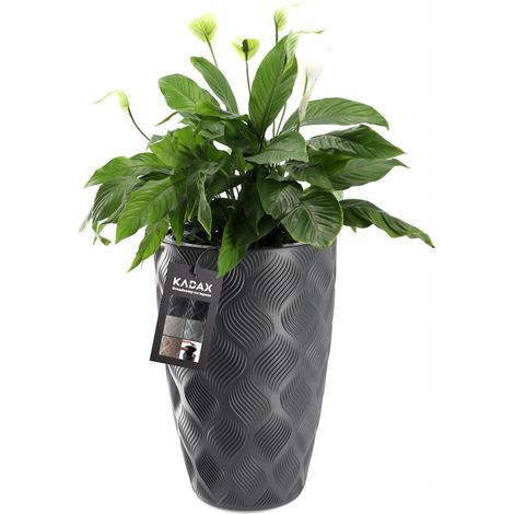KADAX Blumentopf mit Einsatz und Griffen, aus Kunststoff, 58.5 cm, anthrazit