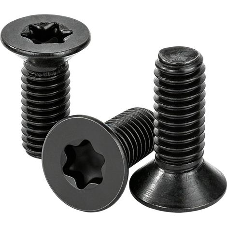 10 Pièces Vis à Tête Fraisée Noir Vis Torx M6 x 12mm En Acier Inoxydable A2 V2A - Vis à Machine Filetage Complet à Métaux Pour L'équipement de Machine Et Les Meubles à La Maison (1/5)