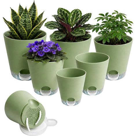 Lot de 6 pots d'arrosage automatique (vert) (1/5)