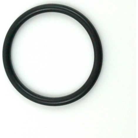 O-ring Tra Valvola E Tubo Pescante Per Valvola Autotrol 255