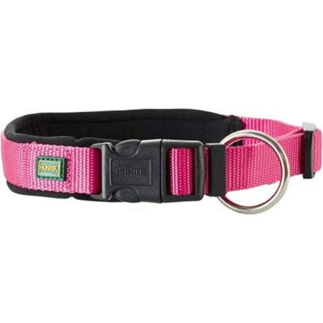 Collier pour Chien (Reconditionné A) (1/2)