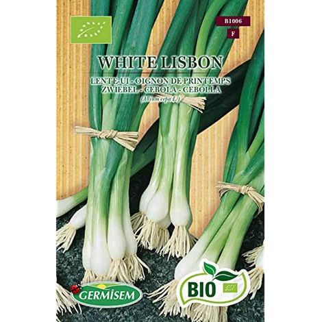 Graines Oignon de printemps WHITE LISBON (1/3)
