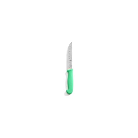 Coltello per frutta e verdura con lama a sfera, HACCP, 230 mm - verde - Hendi 842317