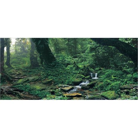 Autocollant adhésif en PVC pour fond d'aquarium, bois verts, rivière, décoration d'aquarium (S) (1/5)