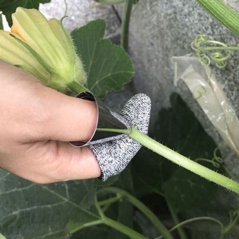 Protège-Doigts - Respirant Résistant Coupures - Pour Cuisine Travail Jardinage - 10 Pièces (1/4)