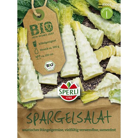 Sperli Spargelsalat Chinesische Keule Samen - 1 Portion (1/2)