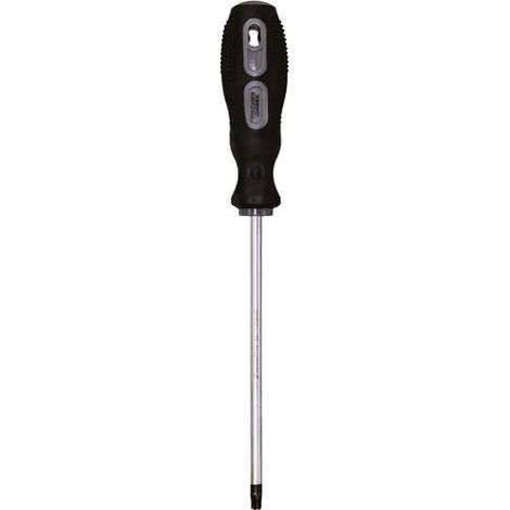 FISCHER DAREX - Tournevis lame chrome molybdene s2 tt30 xl150mm x6mm