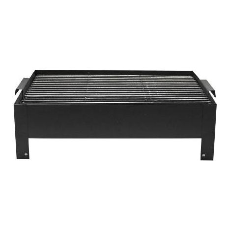 Grillade de pique-