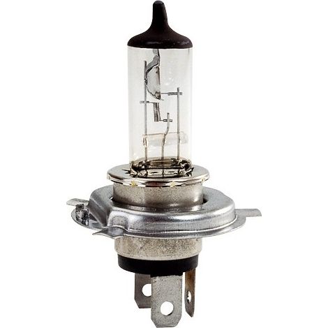 Maxter – Ampoule H4 24V P43 – Éclairage blanc 75/70W – Culot P43T pour usage automobile – Luminosité optimale