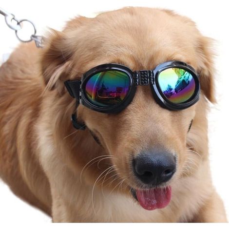 Occhiali da sole per cani - Accessori per animali domestici - Occhiali da sole per cani di grossa taglia - Confezione da 1 - Occhiali protettivi - Occhiali da sole per cani di grossa taglia (Nero) (1/4)