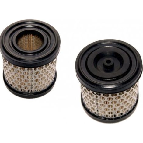 Luftfilter Rasenmäher 2 und 5 PS BRIGGS STRATTON 396424 192043 ORIGINAL