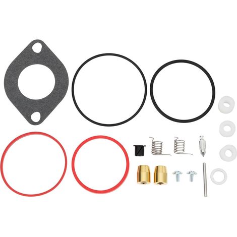 Carburetor Repair Kit 697241 697154 Compatible with Briggs & Stratton Engines (1/5)