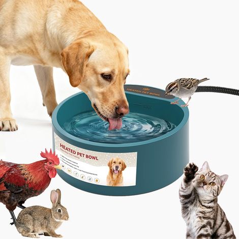 Abreuvoir Chauffante pour Chats/Chiens/Poules/Lapin Gamelle Chauffante Anti-Gel Utilisée pour Empêcher l'eau de L'abreuvoir Extérieur de Geler Câble Gainé d'acier Anti-Morsure (1/5)