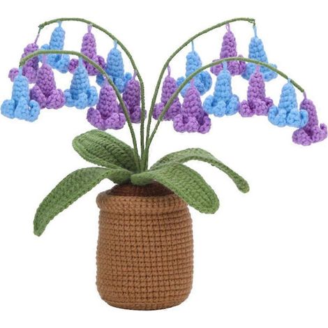 Kits de crochet en pot pour débutants, adultes et enfants (1/4)
