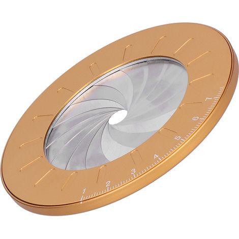 Outil à tracer des cercles circulaire en acier inoxydable à diamètre réglable pour le travail du bois. (1/5)