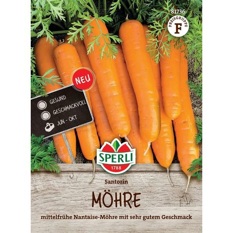 Sperli Möhren Santorin F1 - Hybride - Gemüsesamen (1/2)