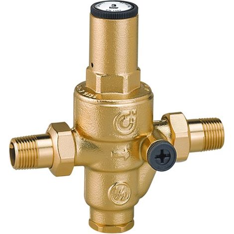 RIDUTTORE DI PRESSIONE A MEMBRANA PN40 CON BOCCHETTONE E ATTACCO MANOMETRO MODELLO 5360 1/2   CALEFFI SPA