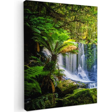 CUADRO EN LIENZO Selva - Cascada - Australia - Plantas - Naturaleza Cuadros Decorativos 60x80 cm