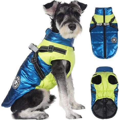 (L) Manteau d'Hiver pour Chiens, Vêtements Chiot, Veste Imperméable, Gilet Hiver, pour Petits Animaux de Compagnie (1/5)