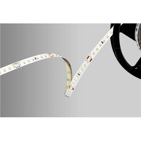 Barthelme 51542233 Ruban LED 24 V 5000 mm blanc 5 m R404922