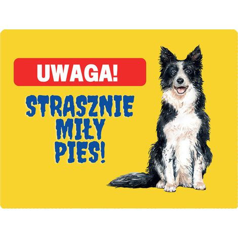 Un cartel muy bonito de border collie - 20x28 cm