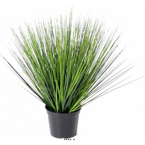 Fausse herbe touffe en pot H 60 cm D 60 cm
