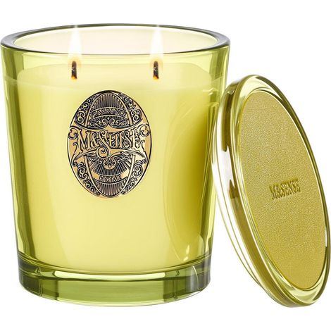 Duftkerze im Glas Seattle-Regenwald 560g Sojawachs 2-Docht 110h Brenndauer