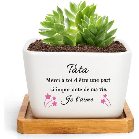 Flower Pot Indoor Gifts Aunt Birthday Mother's Day Valentine's Day Women Christmas Woman (1/3)