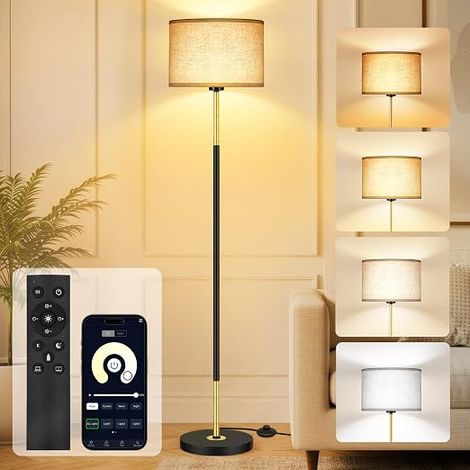 Modern Dimmable Floor Lamp, Remote Control and Application, Black (1/5)