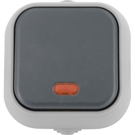Drucktaster mit Controlleuchte IP54 Grau (1/5)