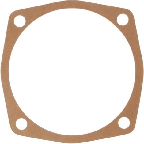 Junta 0,5 mm MASCHIO M27100135R