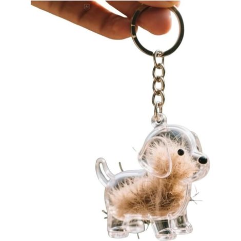 Boîte de rangement souvenir pour poils de chien, porte-clés transparent, flacon pour poils d'animaux, porte-clés souvenir pour conserver les poils de votre animal, capsule à souvenirs portable (1/5)