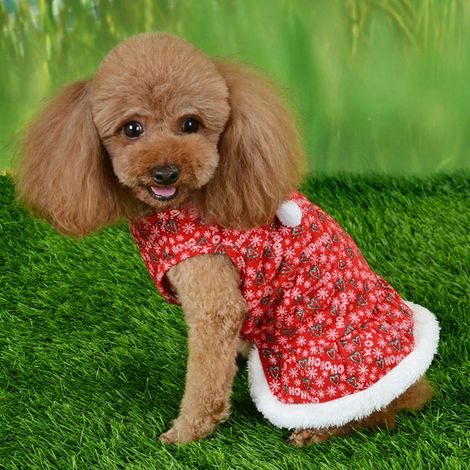 Ensemble d'hiver pour chiots : jupe rouge mignonne, veste et vêtements pour petits chiens, idéal pour Noël. (1/5)