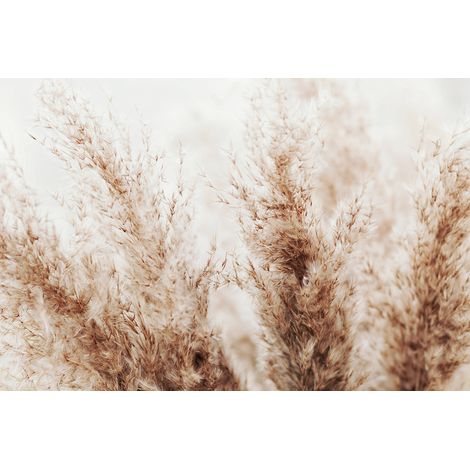 Papier peint panoramique - Pampas - 130 cm x 87 cm (1/2)