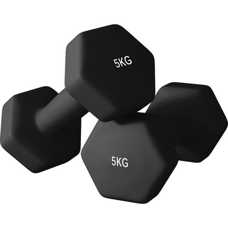 SPORTNOW Set 2 Manubri Pesi da 2x5 kg in Metallo e Plastica 20x9x9 cm Nero