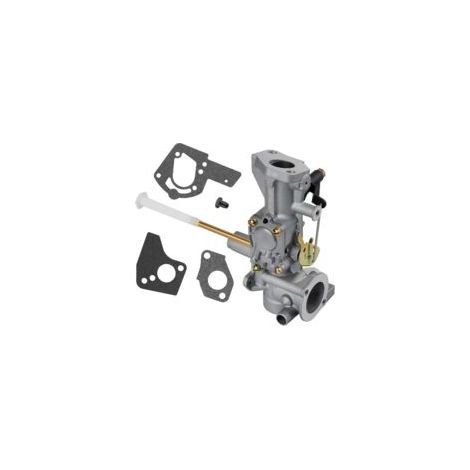 98298 Vergaser für Briggs & Stratton 692784 495951 495426 112202 112232 134202 137202 133212 130202 5 PS (1/5)