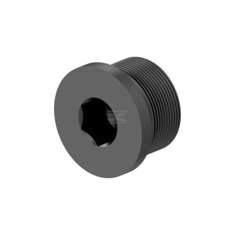 Vis WABCO 8109020194 (1/4)