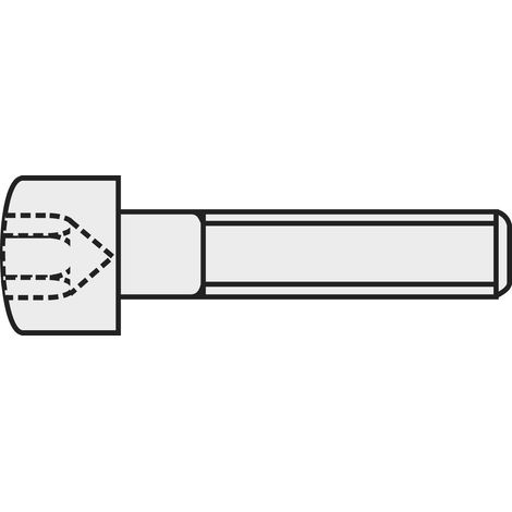 VIS CYLINDRIQUE TOOLCRAFT 839659 20 PC(S) M2 8 MM TÊTE CYLINDRIQUE 6 PANS INTÉRIEURS ACIER DIN 912